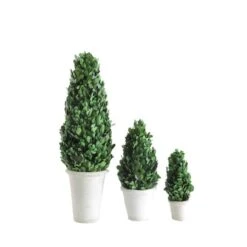 Hello Honey® 17'' Boxwood Cone Topiary In White Clay Pot -Michaels D318984S 2