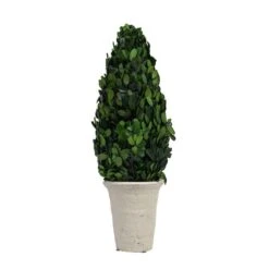 Hello Honey® 17'' Boxwood Cone Topiary In White Clay Pot -Michaels D318984S 5