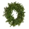 Hello Honey® 13" Green Boxwood Wreath -Michaels D322087S 1