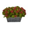 14in. Red Kalanchoe Plant In Black Embossed Planter -Michaels D323459S 1