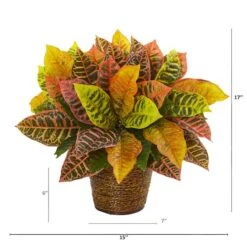 17" Garden Croton Plant In Basket -Michaels D323618S 12