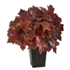 18" Burgundy Autumn Maple Leaf Plant In Embossed Black Planter