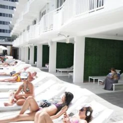 20" Ficus Style Plant Living Wall Panels, 4ct. -Michaels D329628S 7