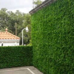 20" Maya Style Plant Living Wall Panels, 4ct. -Michaels D329641S 4