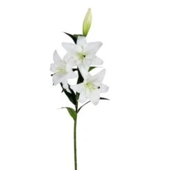White Lily Spray, 2ct.