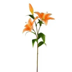 Orange Lily Spray