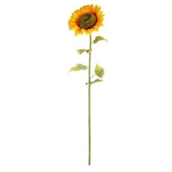 Yellow Sunflower Stem