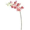 Real Touch™ Pink Moth Orchid Stem 2 Real Touch™ Pink Moth Orchid Stem -Michaels D333832S 1