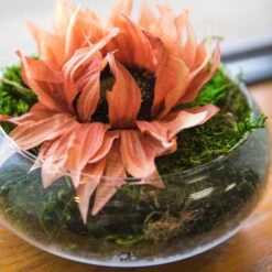 Orange Sunflower Stem, 4ct. -Michaels D333846S 4