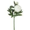 Cream Peony Stem, 3ct. -Michaels D333855S 1