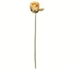 Mustard Rose Stem, 12ct. -Michaels D333876S 1