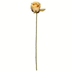 Mustard Rose Stem, 12ct.