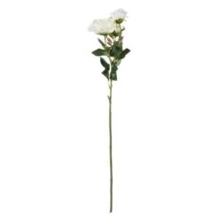 White Rose Stem, 3ct.