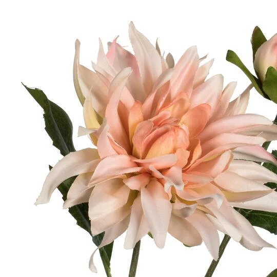 6 Pack: Peach Dahlia Spray 5 6 Pack: Peach Dahlia Spray - Image 3