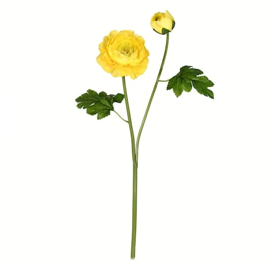 Yellow Ranunculus Stem, 6ct. 3 Yellow Ranunculus Stem, 6ct.