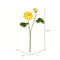 Yellow Ranunculus Stem, 6ct. 8 Yellow Ranunculus Stem, 6ct. -Michaels D333933S 2