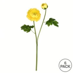 Yellow Ranunculus Stem, 6ct. 9 Yellow Ranunculus Stem, 6ct. -Michaels D333933S 3