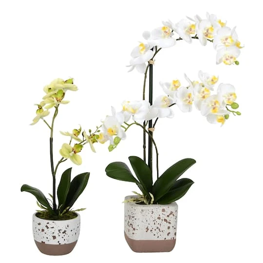 White Artificial Mini Moth Orchid In Planter Set 3 White Artificial Mini Moth Orchid In Planter Set