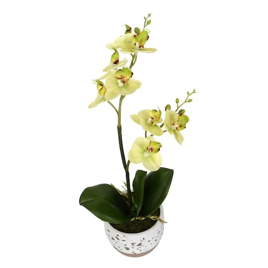White Artificial Mini Moth Orchid In Planter Set 5 White Artificial Mini Moth Orchid In Planter Set - Image 3