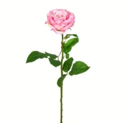 Pale Pink Rose Stem, 6ct. -Michaels D333953S 1