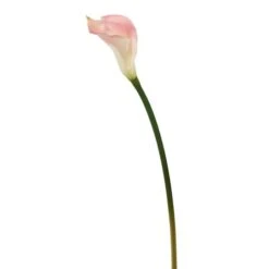 Pink Calla Lily Stem, 6ct. -Michaels D333978S 1