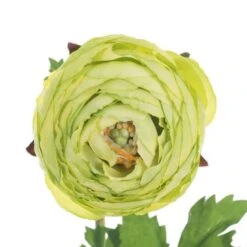 23" Green Ranunculus Artificial Stem, 4ct. 10 23" Green Ranunculus Artificial Stem, 4ct. -Michaels D333994S 2