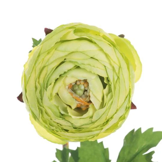 23" Green Ranunculus Artificial Stem, 4ct. 5 23" Green Ranunculus Artificial Stem, 4ct. - Image 3