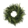 24" Green Buckler Fern & Grass Wreath