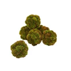 Green Sedum Succulent Spheres, 6ct. -Michaels D350186S 12