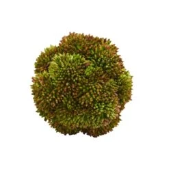 Green Sedum Succulent Spheres, 6ct. -Michaels D350186S 13