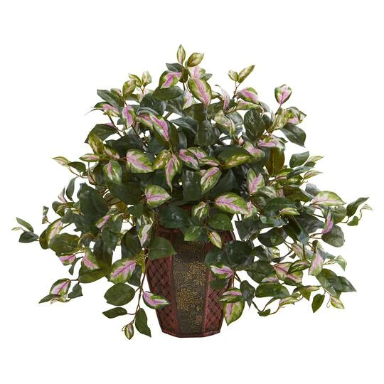 20" Hoya Plant In Decorative Planter 4 20" Hoya Plant In Decorative Planter - Image 2