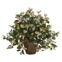 20" Hoya Plant In Decorative Planter