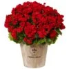 22" Red Geranium In Farmhouse Style Planter -Michaels D350199S 11