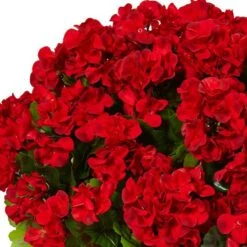 22" Red Geranium In Farmhouse Style Planter -Michaels D350199S 13