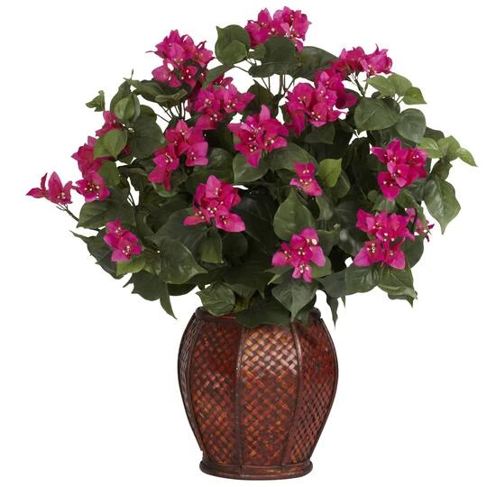 2ft. Pink Bougainvillea With Woven Vase 4 2ft. Pink Bougainvillea With Woven Vase - Image 2