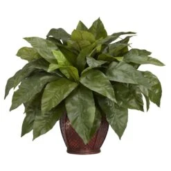23'' Birds Nest Fern With Woven Brown Vase