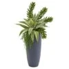 3ft. Snake Plant & Succulent In Gray Planter -Michaels D350241S 1