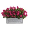 2.5ft. Pink Bougainvillea In Stone Planter 1 2.5ft. Pink Bougainvillea In Stone Planter -Michaels D350247S 11