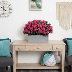 2.5ft. Pink Bougainvillea In Stone Planter -Michaels D350247S 13