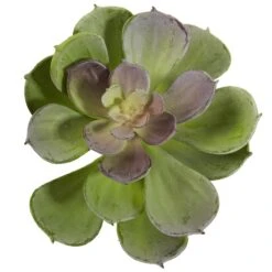 Green Echeveria Succulent Pick, 12ct. -Michaels D350269S 3