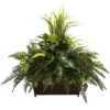 3ft. Mixed Grass & River Fern In Wood Planter 1 3ft. Mixed Grass & River Fern In Wood Planter -Michaels D350299S 11