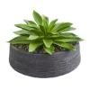 10" Large Succulent Artificial Plant In Decorative Bowl -Michaels D350300S 11
