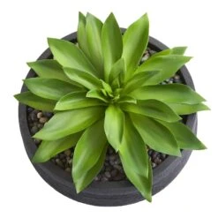 10" Large Succulent Artificial Plant In Decorative Bowl -Michaels D350300S 12
