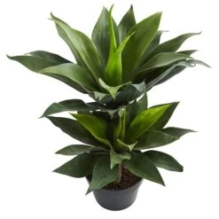 2.4ft. Potted Double Agave Succulent Artificial Plant -Michaels D350325S 12