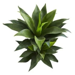 2.4ft. Potted Double Agave Succulent Artificial Plant -Michaels D350325S 13
