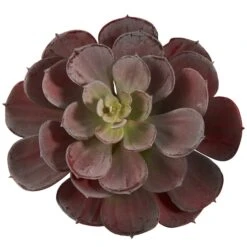 Burgundy Echeveria Succulent Pick, 12ct. -Michaels D350366S 3
