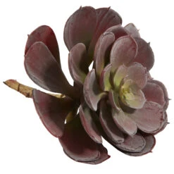 Burgundy Echeveria Succulent Pick, 12ct. -Michaels D350366S 5