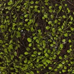 Wire Vine Bush -Michaels D350386S 13