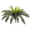 Green Cycas Pick, 2ct. -Michaels D350389S 1
