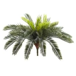 Green Cycas Pick, 2ct.
